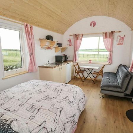 The Beautiful Lazy Llama Shepherd Hut Farm Stay 巴利香农 外观 照片