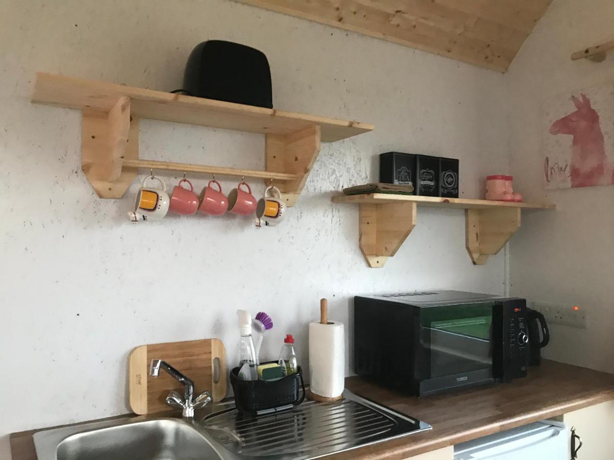 The Beautiful Lazy Llama Shepherd Hut Farm Stay 巴利香农 外观 照片