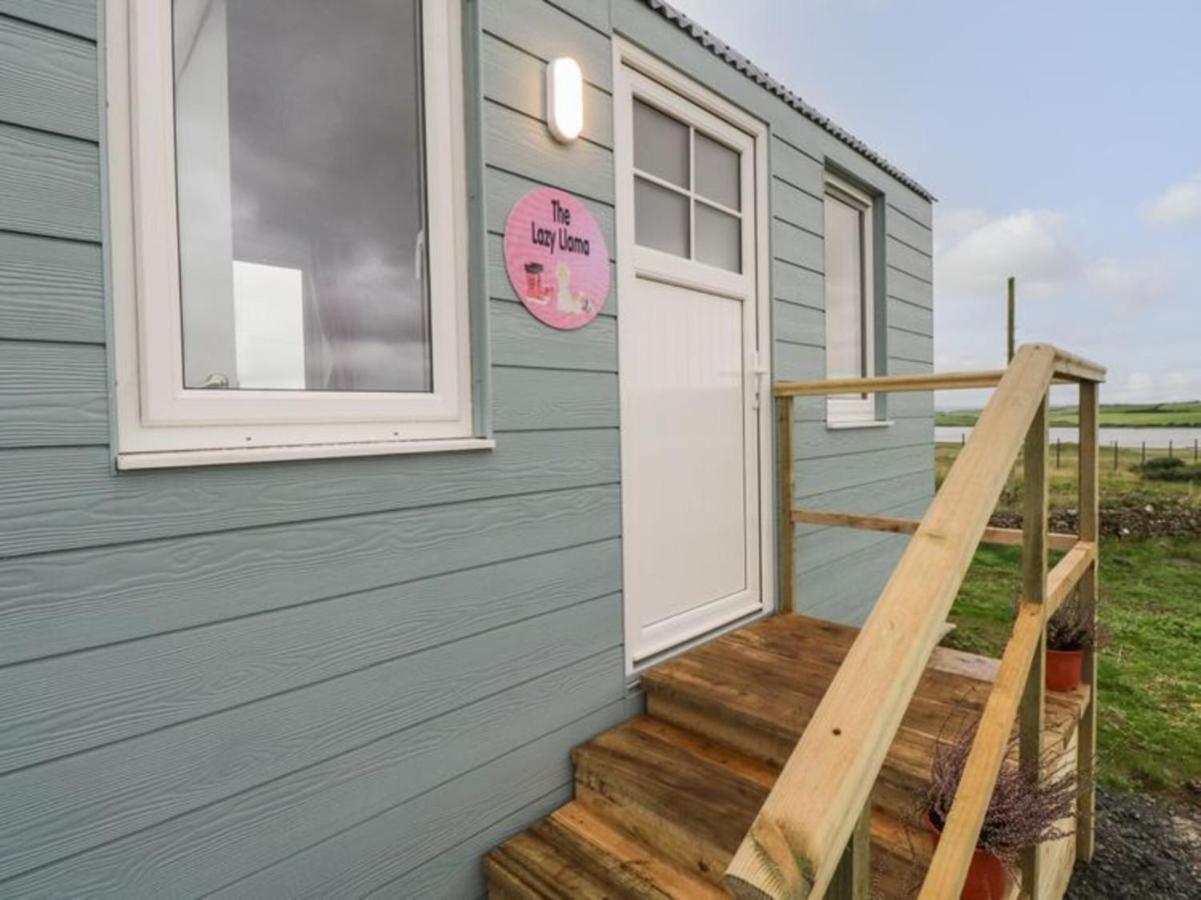 The Beautiful Lazy Llama Shepherd Hut Farm Stay 巴利香农 外观 照片