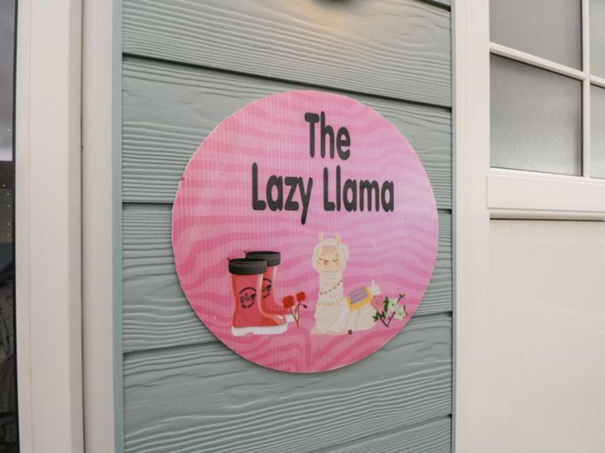 The Beautiful Lazy Llama Shepherd Hut Farm Stay 巴利香农 外观 照片