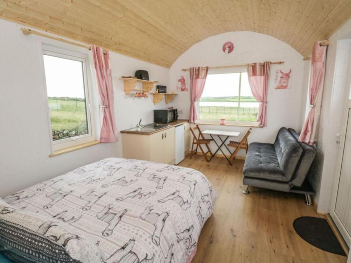 The Beautiful Lazy Llama Shepherd Hut Farm Stay 巴利香农 外观 照片