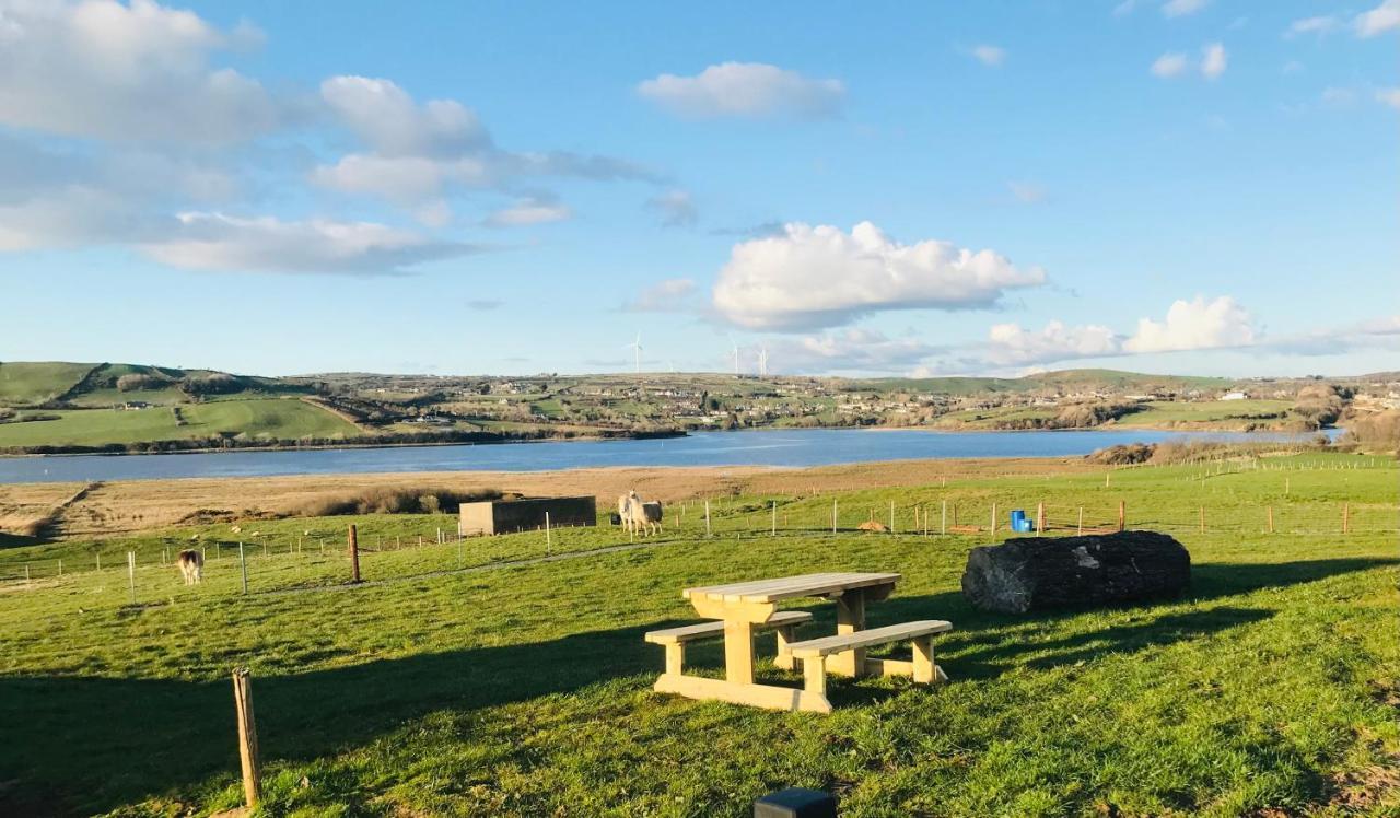The Beautiful Lazy Llama Shepherd Hut Farm Stay 巴利香农 外观 照片