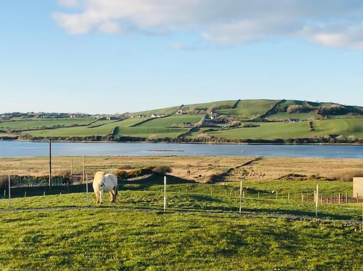 The Beautiful Lazy Llama Shepherd Hut Farm Stay 巴利香农 外观 照片
