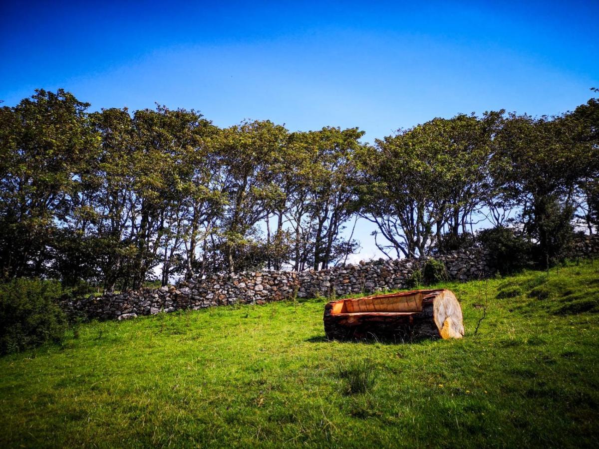 The Beautiful Lazy Llama Shepherd Hut Farm Stay 巴利香农 外观 照片