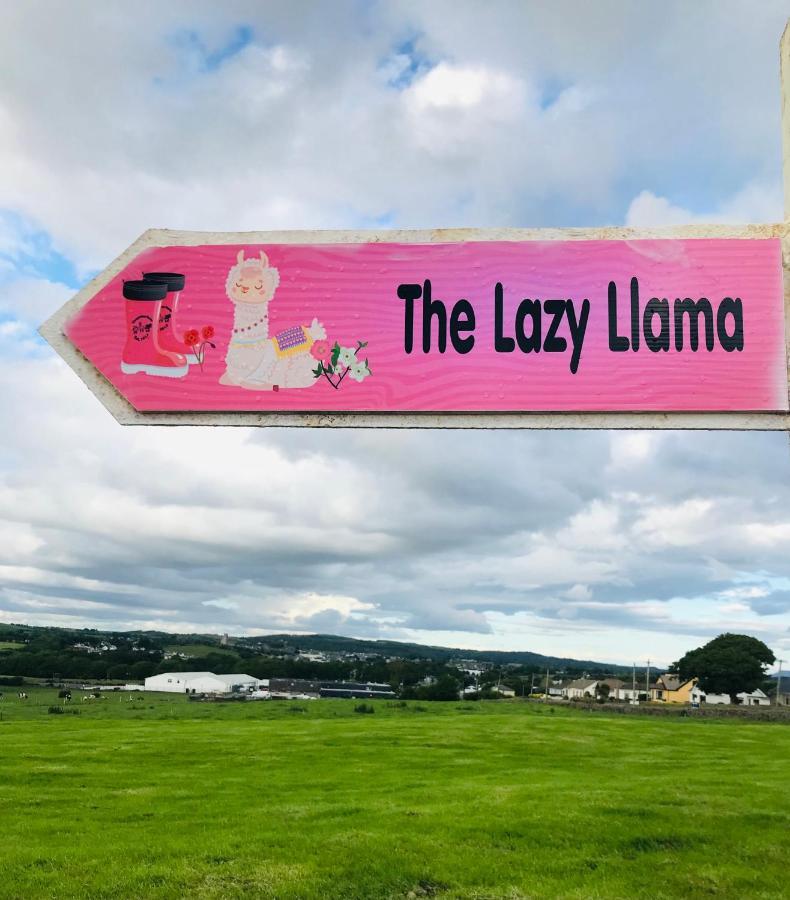The Beautiful Lazy Llama Shepherd Hut Farm Stay 巴利香农 外观 照片