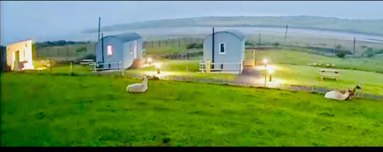 The Beautiful Lazy Llama Shepherd Hut Farm Stay 巴利香农 外观 照片